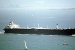 Polar Texas, Oil Tanker, IMO: 7320394