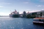 Union Aukland, Bulk Carrier, IMO: 7002485, Princess Wharf, Auckland, Dock, Harbor