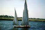 Dhow Sailing Ship, Lateen sails, vessel, Minya, Nile River, TSWV09P07_16
