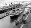 canal, mules, cargo ship, 1950s, TSWV09P12_11