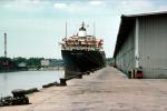 Gulf Trident, Bulk Carrier, Dock, Harbor, warehouse, IMO: 6707868