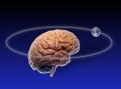 Brain, Earth, Orbit, Brain with Orbit, Global Brain, UFIV01P04_17