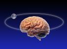 earth orbits brain