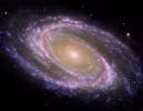 M81 Galaxy is Pretty in Pink, Messier 81, Spiral Galaxy