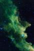 'Witch Head' Brews Baby Stars, Witch Head nebula