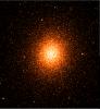 Cluster Galaxy