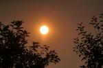 Sunset Through the Smoke, Sonoma County Fires of 2020