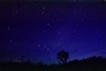 Thy night skyeth upon us, Joshua Tree National Monument, Dark Sky, starfield, Star Field