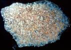 Meteorite, Cross Section, UPAV01P02_19