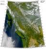 Phytoplankton, Haze, and Forests in the Pacific Northwest, Vancouver Island, Washington State, UPDD01_069