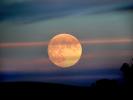 Full Moon Rising, UPFD01_024