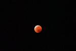 Blood Moon, Lunar Eclipse, UPFD01_038
