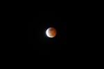 Blood Moon, Lunar Eclipse, UPFD01_041