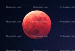 Lunar Eclipse, Blood Moon, UPFV01P06_01
