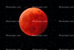 Lunar Eclipse, Blood Moon, UPFV01P06_04B