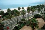 Ocean Blvd, Palm Trees, Beach, Pacific Palisades, Santa Monica Bay, VARV01P14_09.0562