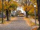 School Bus on a Street, Fall Colors