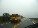Highway-98, Road, St, Marks, Florida