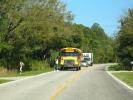 School Bus Stop, Road, south of Charleston, along Highway 21, VBSD01_056