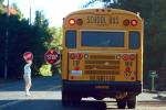 School Bus, Bloomfield Road, Sonoma County, California, VBSD01_084