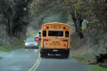 School Bus, Bloomfield Road, Sonoma County, California, VBSD01_092