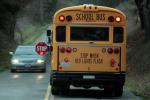 School Bus, Bloomfield Road, Sonoma County, California, VBSD01_096