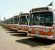 Row of Buses, AC Transit, 1983, 1980s, VBSV01P02_13