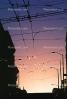 Overhead electric cables, sunset, VBSV02P05_03