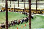Students waiting in line, children, kids, palm trees, lawn, buses