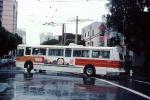 Electrified Trolleybus, rain, wet, slick, road, crosswalk, VBSV03P05_08