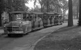 Plymouth Parking Shuttle, Anna Scripps Whitcomb Conservatory, Belle Isle, Detroit, 1950s