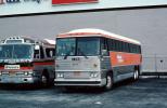 MCI Bus, Thomas Cook Tour, Browns Bus, VBSV05P02_14
