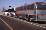 Goodalls San Diego Bus