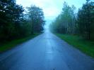 Tree Lined Road, Washington Island, Wisconsin, VCRD01_044