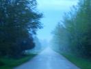 Tree Lined Road, Washington Island, Wisconsin