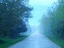 Tree Lined Road, Washington Island, Wisconsin, VCRD01_046