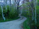 S-Curve, Tree Lined Road, Washington Island, Wisconsin, VCRD01_047