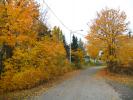 Fall Colors, Autumn, Deciduous Trees, Woodland, VCRD01_100