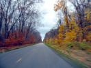 Motion Blur, Fall Colors, Autumn, Deciduous Trees, Woodland, Whitefish Bay, Michigan