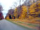 Motion Blur, Fall Colors, Autumn, Deciduous Trees, Woodland, Whitefish Bay, Michigan, VCRD01_109
