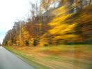 Motion Blur, Fall Colors, Autumn, Deciduous Trees, Woodland, Whitefish Bay, Michigan, VCRD01_110