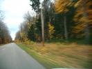 Motion Blur, Fall Colors, Autumn, Deciduous Trees, Woodland, Whitefish Bay, Michigan, VCRD01_111
