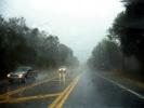 Downpour, Rain, Tallahasee Florida, VCRD01_160