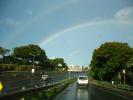 Rainy Day, Honolulu, Oahu, Hawaii, VCRD01_203