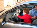 Little Boy Driving, Steering Wheel