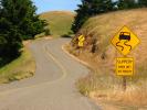 Mount Tamalpais, Road, Caution, warning, VCRD02_033
