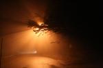Night Scene lit by Sodium Vapor Lamp, VCRD02_042