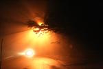 Night Scene lit by Sodium Vapor Lamp, VCRD02_043