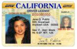 Drivers Licence, license , VCRD02_137