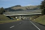 Overpass, Highway US 101, North Bound, Mendocino County